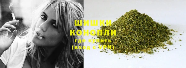 стаф Кодинск