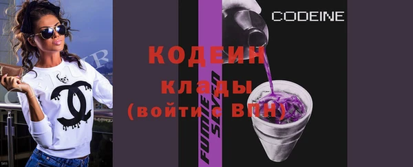 стаф Кодинск