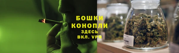 стаф Кодинск