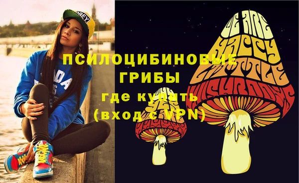 стаф Кодинск