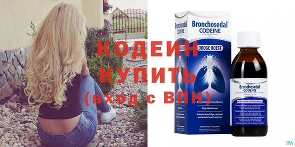 стаф Кодинск