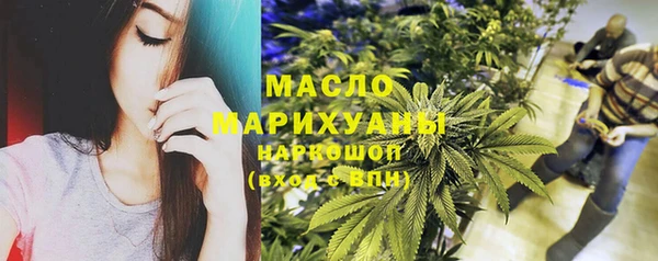 стаф Кодинск
