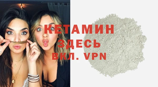 стаф Кодинск